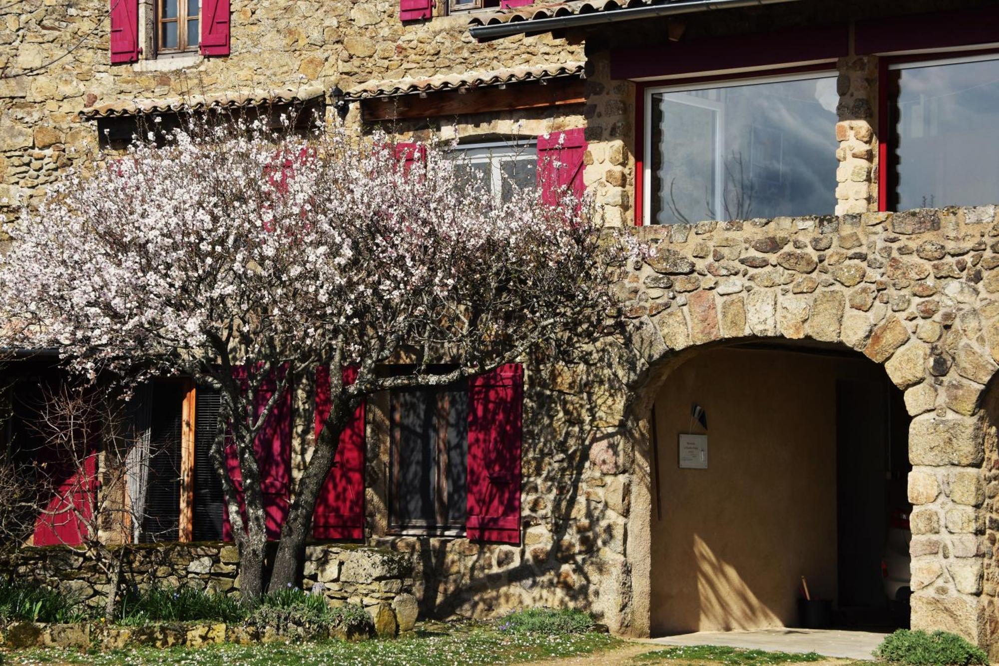 Chambre D'Hotes De Thoree Maclas Exterior photo